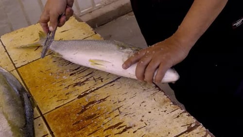 Cleaning Fish