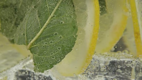 Refreshing Drink with Lemon and Mint Close Up