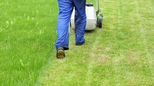 Mowing the lawn with a petrol lawn mower in the garden by a gardener