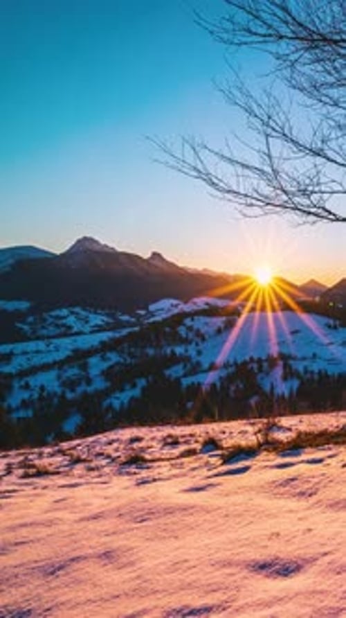 Sunset Winter Nature