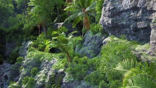 Lush Tropical Landscape with Rocky Outcrops and Vibrant Greenery at Daytime