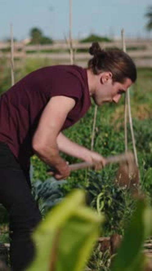 Jeune agriculteur travaillant avec une maison dans un verger urbain