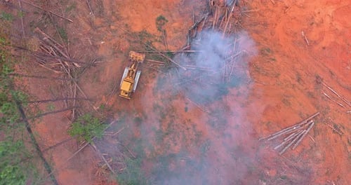 Forest Destruction Burning Uprooting of Forests Preparation Cleaning of Land Before Building a House
