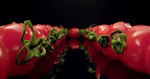 fresh red cocktail tomatoes super close-up with dark background unique HQ 4k shoot Fly over