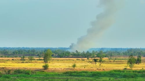 Smoke Plume Rising Over Rural Golden Field