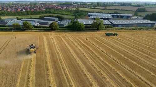 Harvest Season in Rural United Kingdom