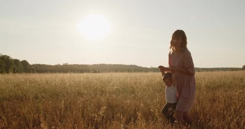 Happy Mother Playing with Her Son Holding Hands in a Golden Field at Sunset