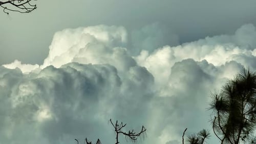 Timelapse de nuvens brancas inchadas de cumulus se formando no céu azul de verão se movendo e mudando da paisagem nublada
