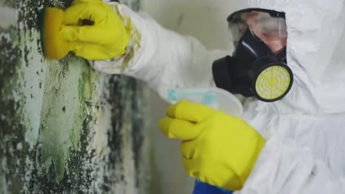Person in Hazmat Suit Cleaning Moldy Wall