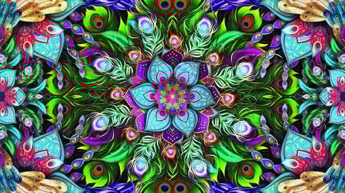 Peacock Mandala