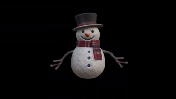 Happy Festive Bouncing Snowman Christmas Animation, Elements Motion ...