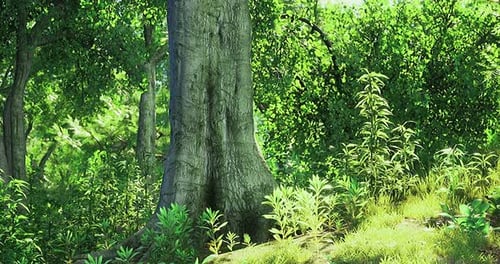 Majestic Tree Stands Tall Amidst Lush Greenery in the Vibrant Forest