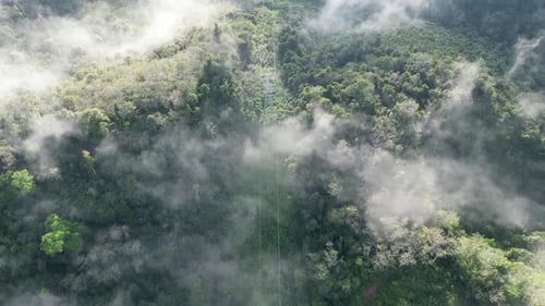 Aerial view of electric tower over forest under low cloud
