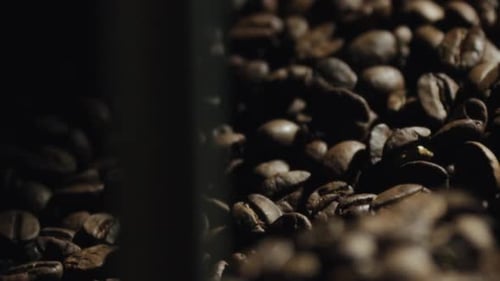 Close Up of Roasted Coffee Beans
