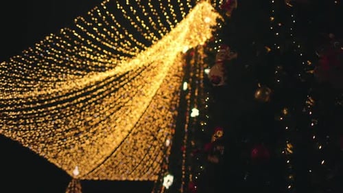 Christmas Tree in the Night City Very Beautiful Shot of the Christmas Tree at Night