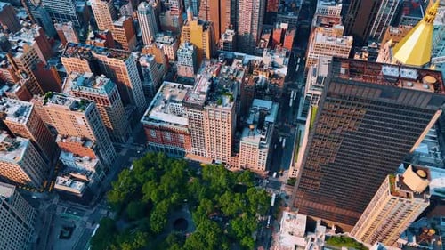 Flying above the beautiful green Madison Park surrounded by gorgeous buildings of New York.