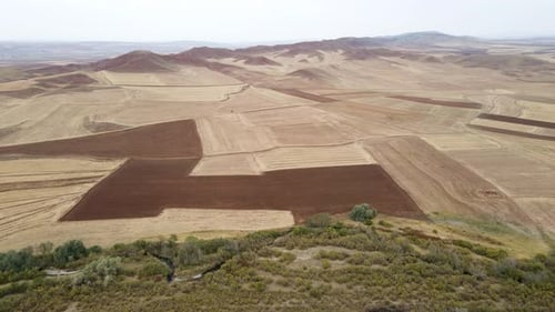 Large Farmlands