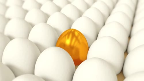 Golden Egg Appears Among White Eggs Animation