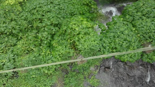 Waterfall in green rainforest in Asia