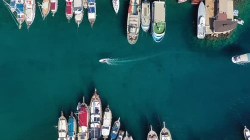 Boats Moving In The Marina And The Wonderful Sea