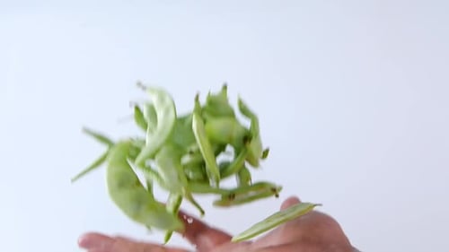 Beautiful close up of green fresh peas and pea pod.