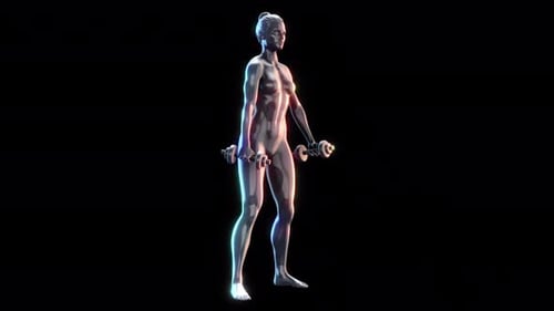 3D Female Figure Dumbbell Front and Lateral Raises
