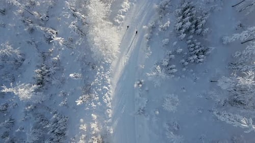 Blick von oben auf Skifahrer, die in einem verschneiten Wald in einer Winterlandschaft wandern