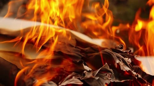 Closeup of flames consuming sheet of paper, bright fire and ash in detail establishing