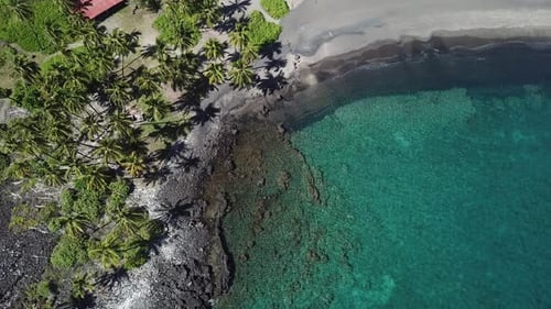 Crystal clear water at black sand beach lined with palm trees on big island, hawaii