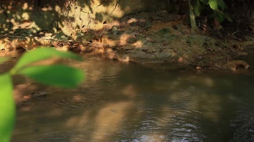 the beauty of the river in nature