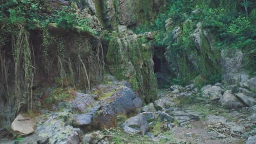 Quiet Natural Sanctuary Secluded Area Filled with Stones and Creeping Vines