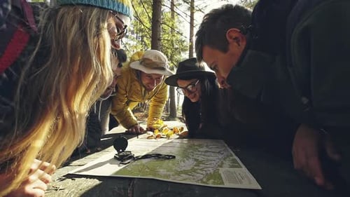 Friends Plan Hiking Route in Sunny Forest