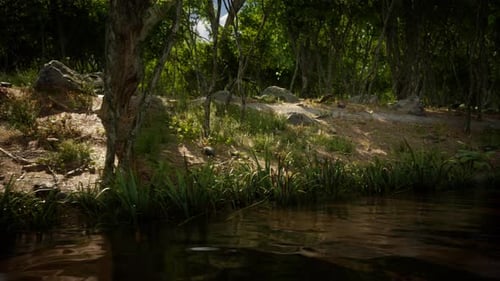 Pond in Mossy Green Forest