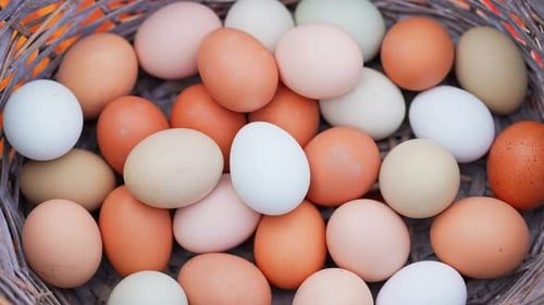 Basket of Colourful Farm Fresh Eggs Close-Up