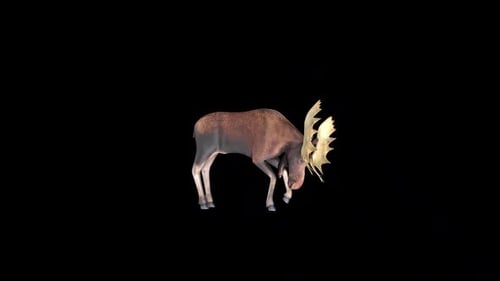 Moose Cow