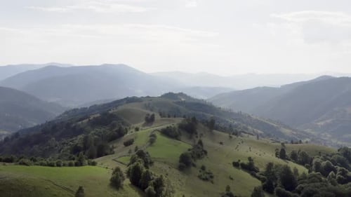 Summer Sunshine on Carpathian Mountain Hill Aerial View of Lush Green Landscape