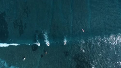 Aerial view with surfers on line up in tropical ocean. Ocean waves and surfers while surfing