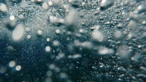 Underwater View of Rising Bubbles and Water Surface