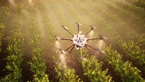 Agricultural Drones Spraying Pesticides Over A Field At Sunset