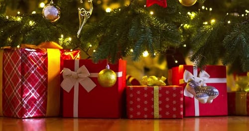 Gifts Under a Decorated Christmas Tree