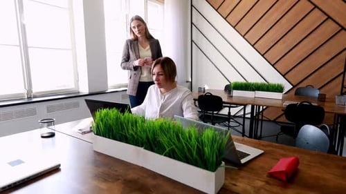 Women Collaborate in Bright Modern Office Workplace