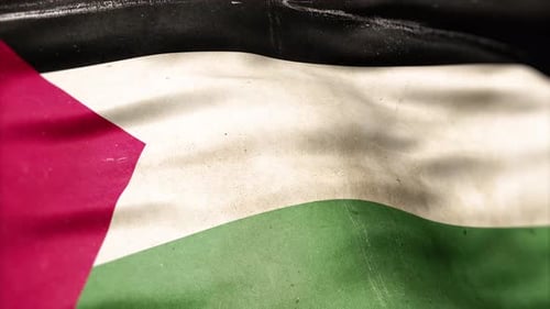 Distressed Palestine National Flag Waving Seamless Loop Motion Background