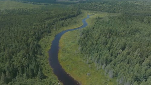 River cuts through woodland meandering towards distant mountains