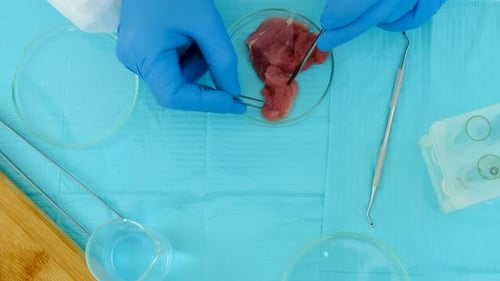 Lab Worker Tests Meat Sample with Scientific Tools
