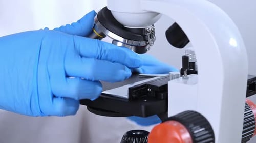 Hands Adjusting Lens on Microscope in Lab