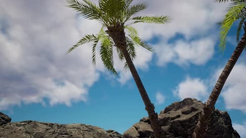 Dreamy Tropical Beach With Palm Trees