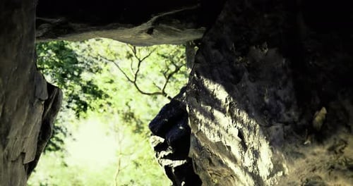 Light Filtering Through a Rocky Archway Invites Adventure in a Lush Forest