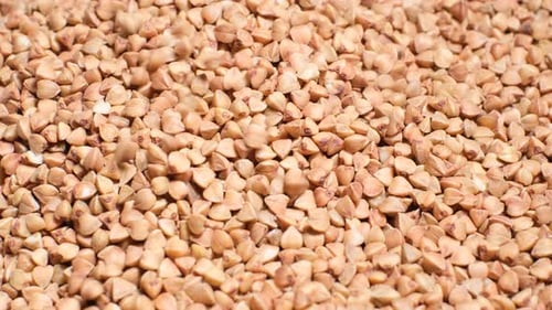Buckwheat Groats are Poured Into a Plate Fried Buckwheat Grains Video