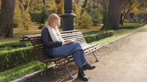 A Woman Focused on Reading on a Park Bench Surrounded By Colorful Autumn Leaves
