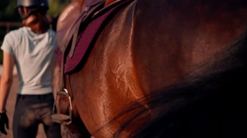 close-up of a horse's body with a saddle and a cape on a professional horse riding equipment